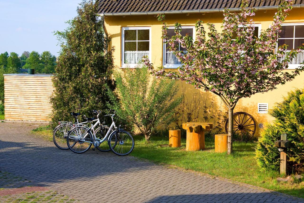 Hotel Am Mueritz-Nationalpark Waren  Eksteriør billede